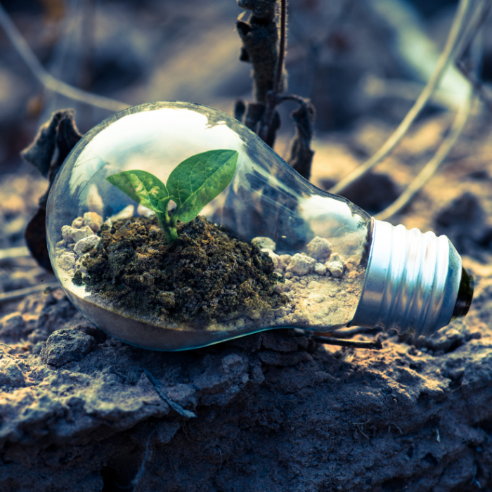 SUSTAINABLE SOLUTIONS USING BIO-BASED PLASTIC (USE OF POLYLACTIC ACID INSTEAD OF POLYCARBONATE)ENERGY EFFICIENT ESCALATORS AT TOURIST ATTRACTIONS